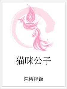 猫咪公子