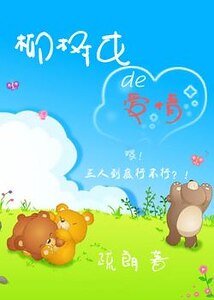 柳树屯的爱情/张二宝的故事